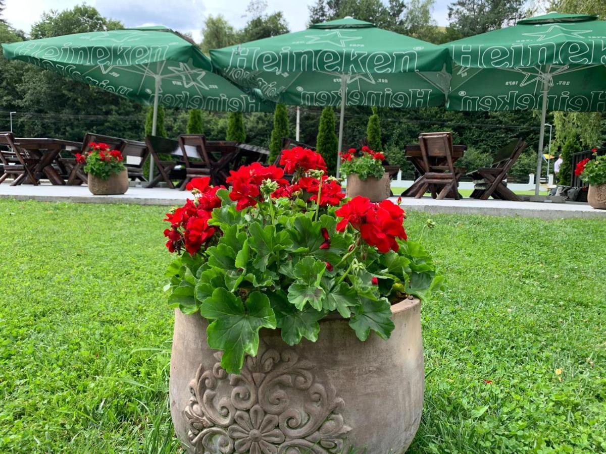 Flori De Mar Hotel Poiana Mărului Eksteriør billede