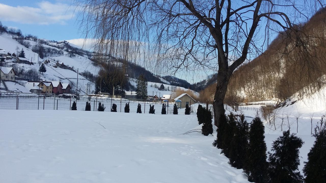 Flori De Mar Hotel Poiana Mărului Eksteriør billede